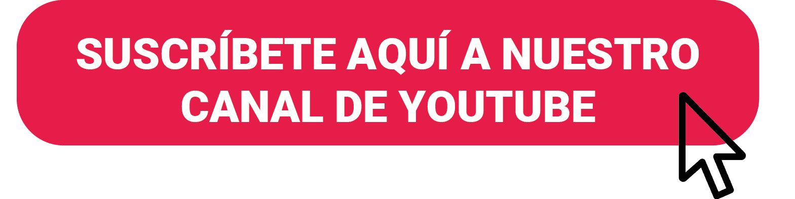 SUSCRÍBETE_Mesa de trabajo 1 (1)